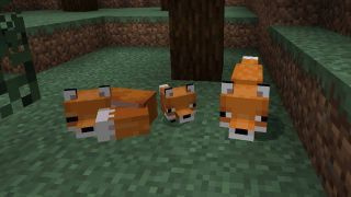 Come domare una volpe in Minecraft