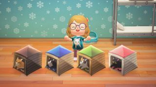 Animal Crossing: New Horizons paraplydesign