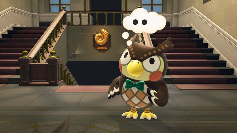 Blathers tænker i Animal Crossing New Horizons