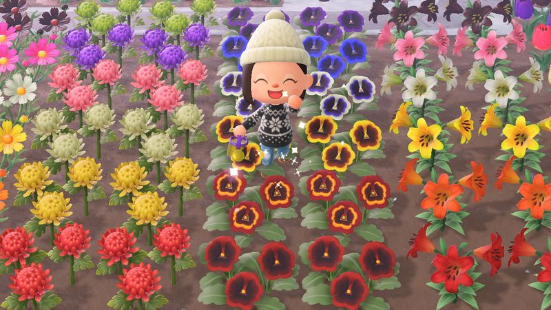 Animal Crossing: New Horizons blomster