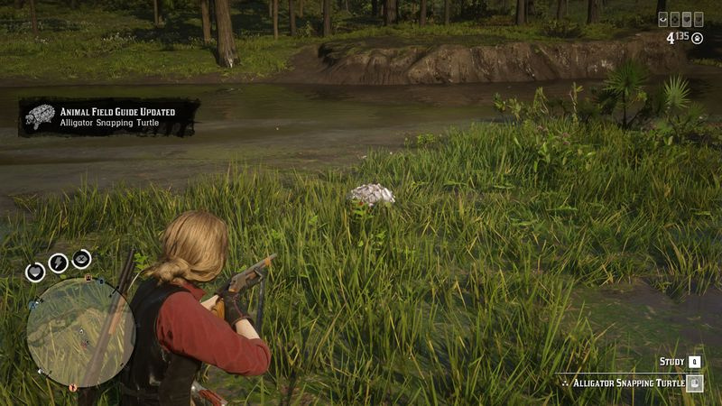 Red Dead Online Harriet Davenport
