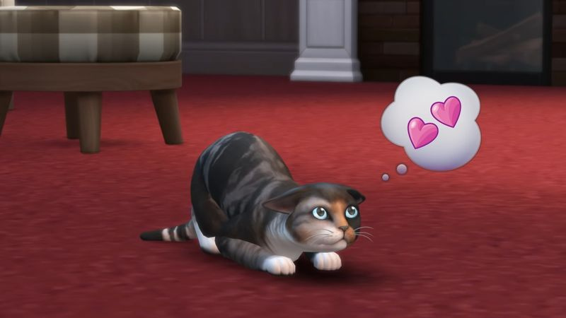 De Sims 4: Katten en Honden, een van de beste kattenspellen