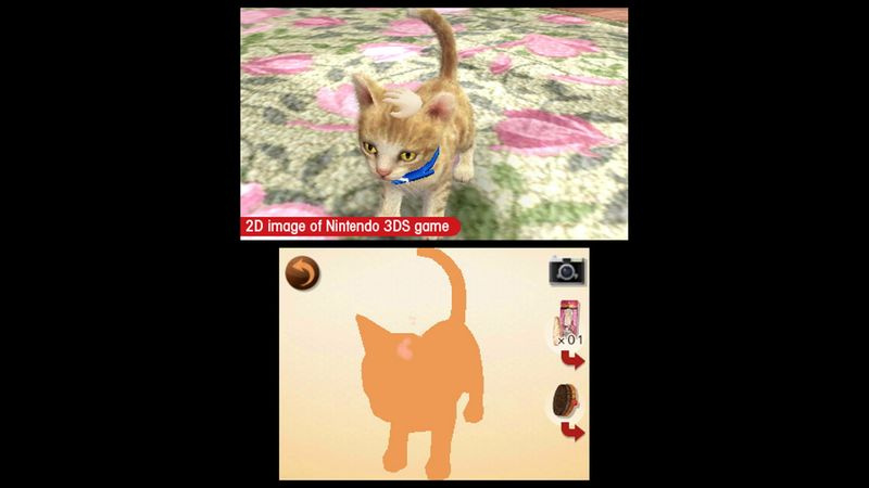 Nintendogs + Cats, een van de beste kattenspellen