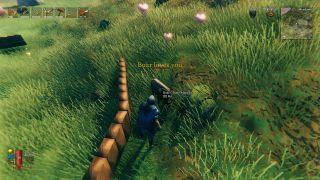 Wie man Wildschweine in Valheim zähmt