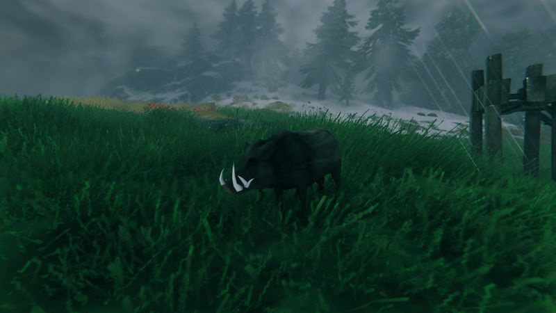 Wie man Wildschweine in Valheim zähmt