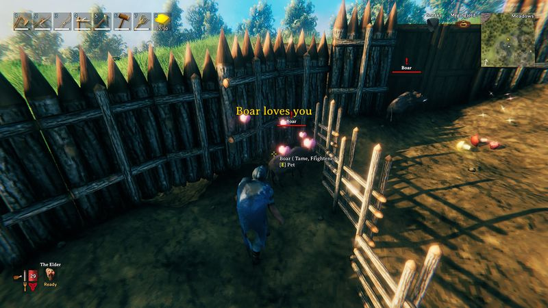 Wie man Wildschweine in Valheim zähmt
