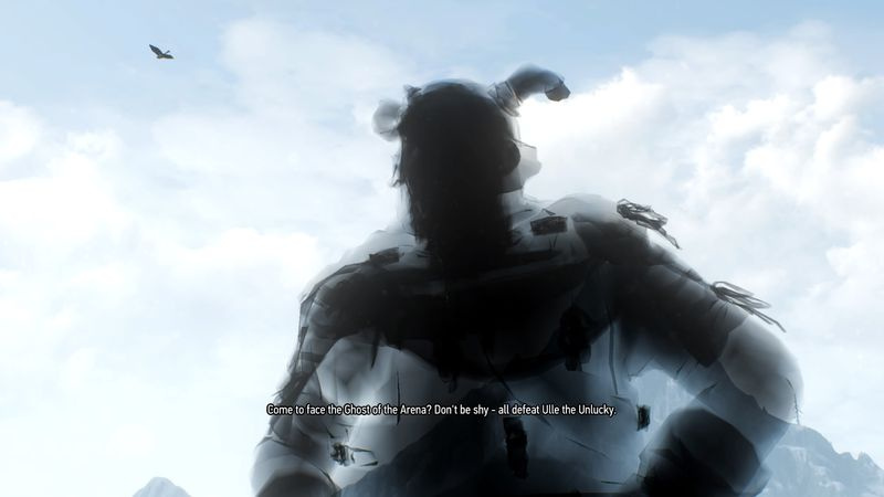 The Witcher 3: Master of the Arena