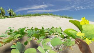 Hoe de pipi-plant in Stranded Deep te vinden?