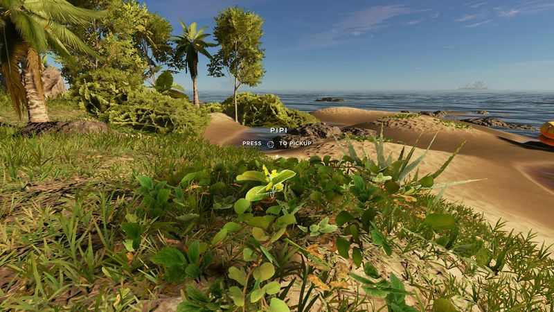 Hoe de pipi-plant in Stranded Deep te vinden?