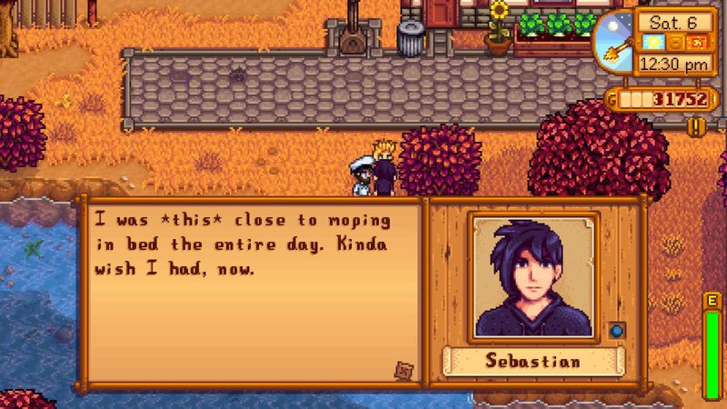 Stardew Valley Sebastian presenter
