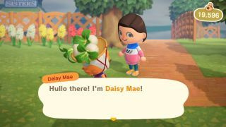 Animal Crossing: New Horizons Daisy Mae