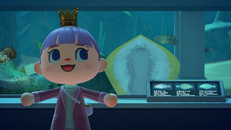 Animal Crossing: nieuwe horizonten