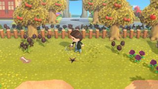 Gyroids vinden in Animal Crossing: New Horizons