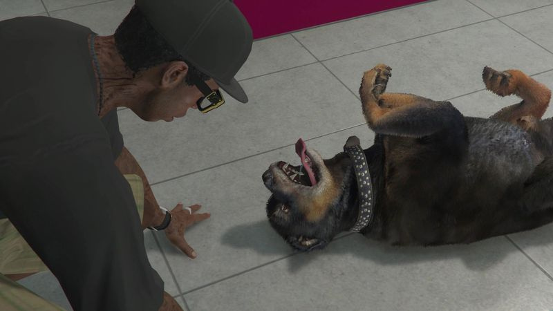 Dör Chop i GTA Online