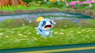 Pokemon Zwaard en Schild