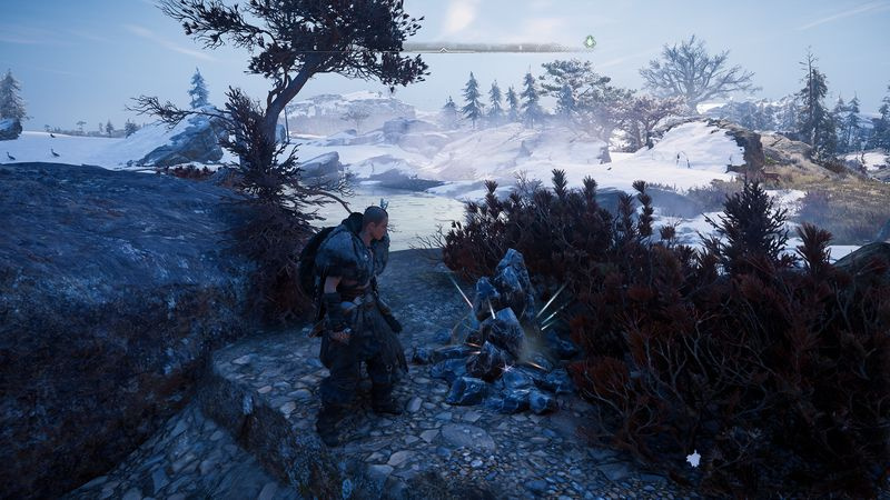 Assassin