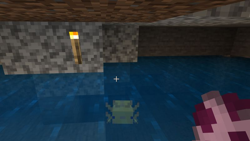 Dove trovare il mob axolotl di Minecraft 1.17