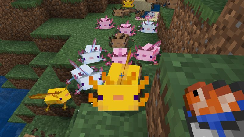 cattura e doma gli axolotl in Minecraft 1.17