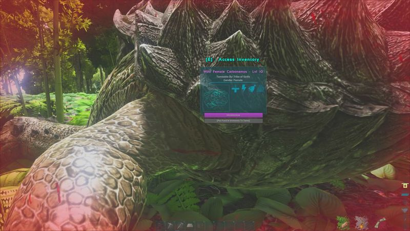 Suggerimenti per Ark Survival Evolved
