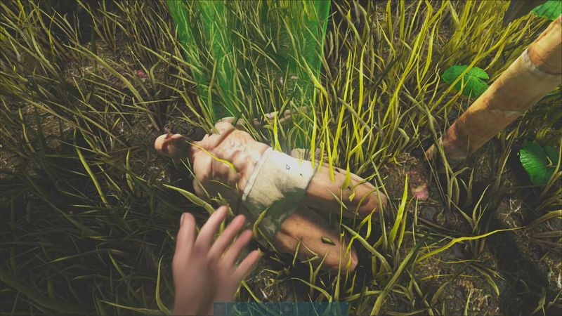 Suggerimenti per Ark Survival Evolved