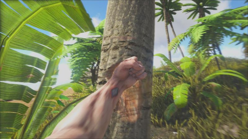 Suggerimenti per Ark Survival Evolved