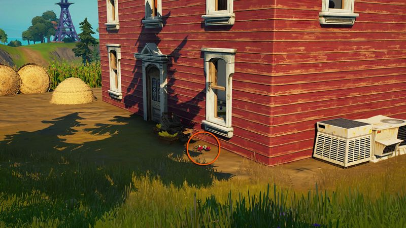 Fortnite Rose-Standorte