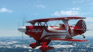 Microsoft Flight Simulator bestuurd door een hond