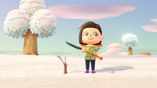 Animal Crossing: pala New Horizons