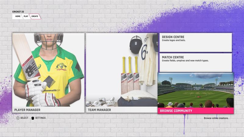 Cricket 22