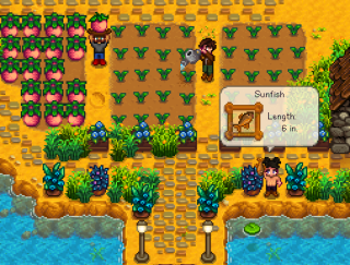 Cooperativa di Stardew Valley