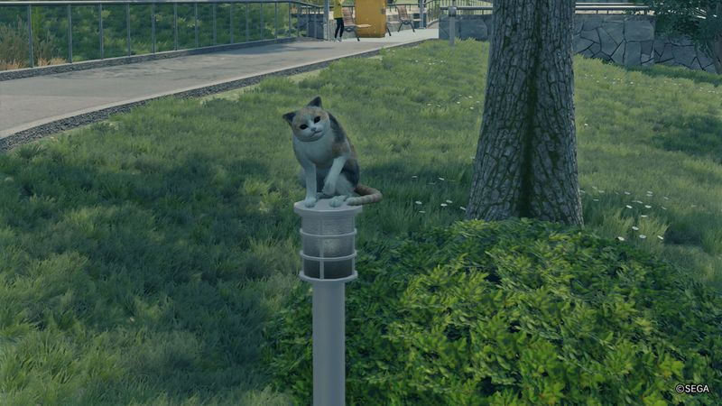 Yakuza 7 gatti scomparsi