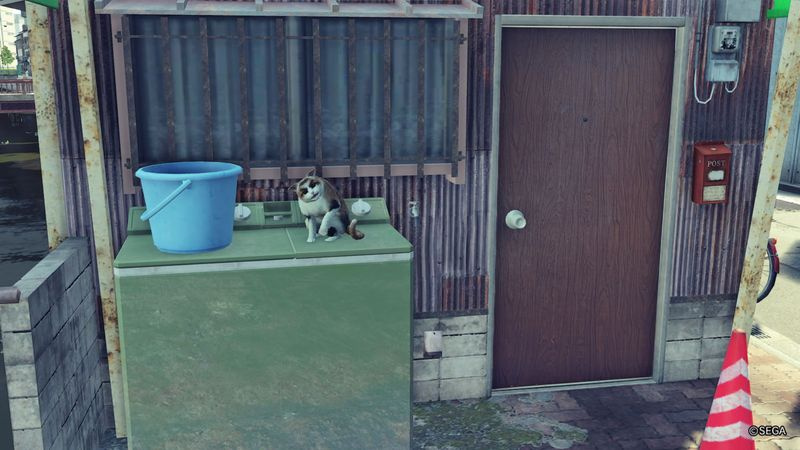 Yakuza 7 gatti scomparsi