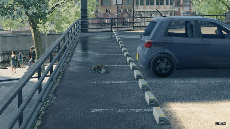 Yakuza 7 gatti scomparsi