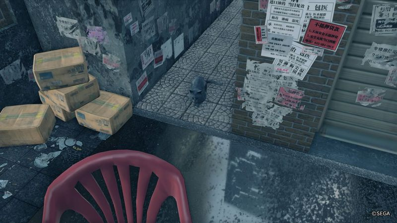 Yakuza 7 gatti scomparsi