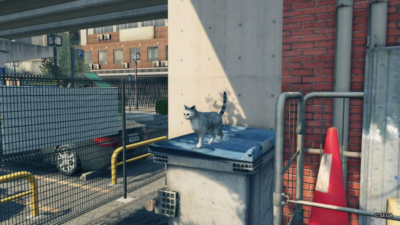 Yakuza 7 gatti scomparsi