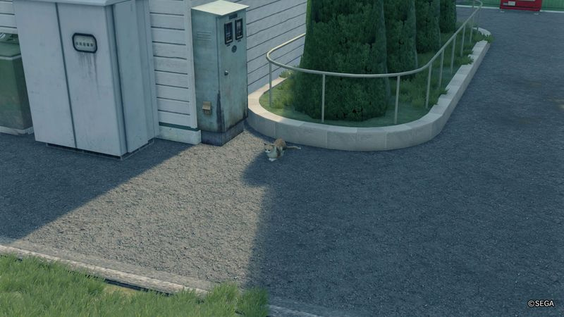 Yakuza 7 gatti scomparsi