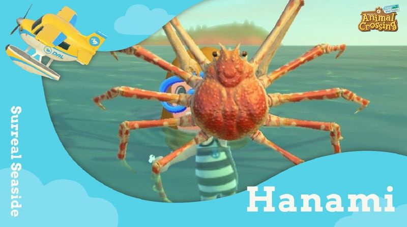 Animal Crossing: New Horizons Island Tour Creator