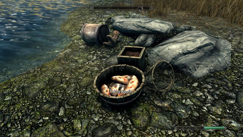 Skyrim jubileumeditie vissen
