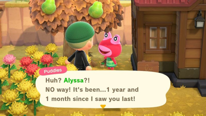 Animal Crossing: New Horizons