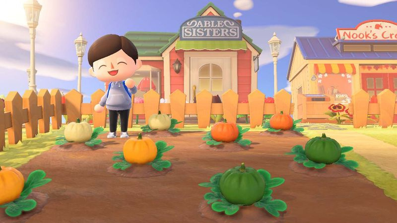 Animal Crossing New Horizons græskarplaster i gården