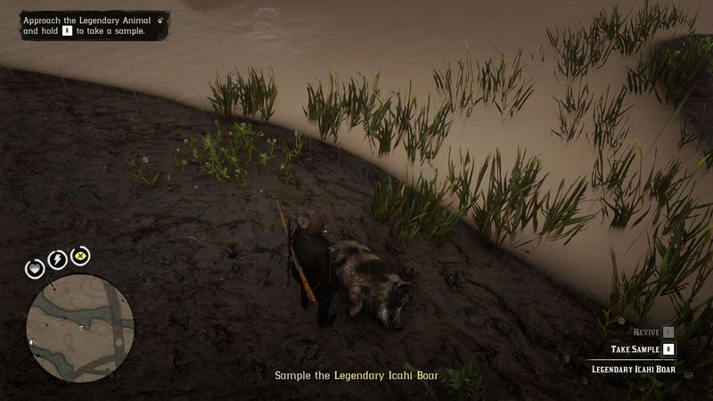 Ruolo di naturalista in Red Dead Online