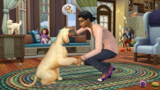 De beste hondenspellen - Sims