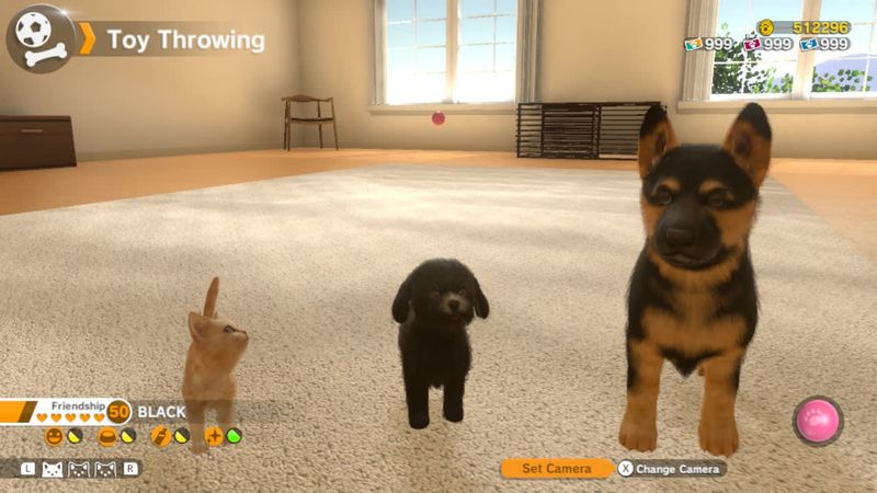 Beste hondenspellen - Little Friends: Dogs & Cats