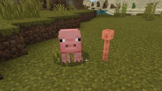 Minecraft 1.17 Lightning Rod