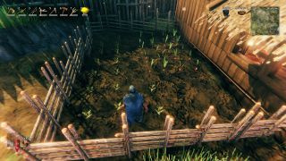 Hur man planterar frön i Valheim