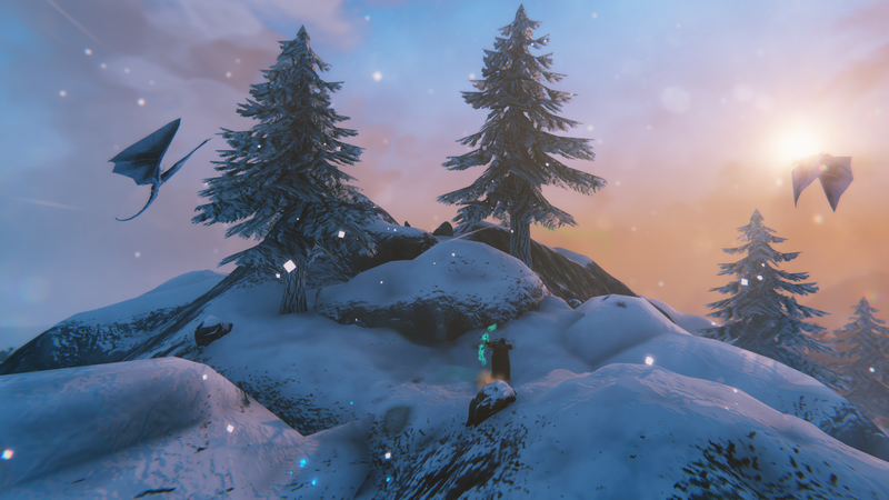 Valheim biomer