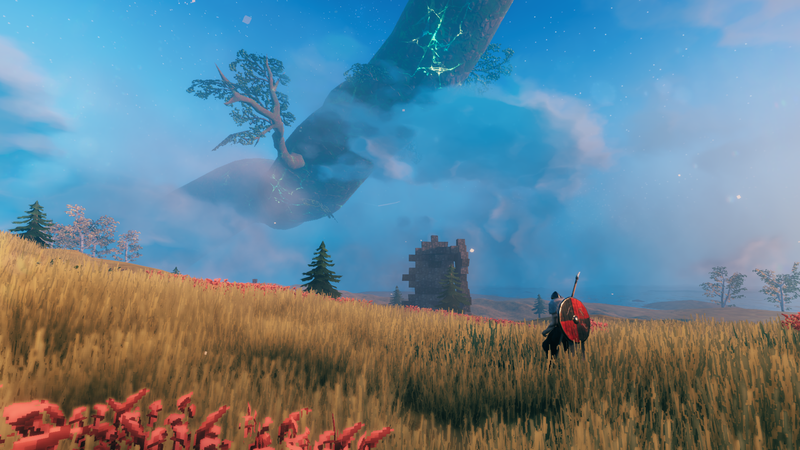 Valheim biomer