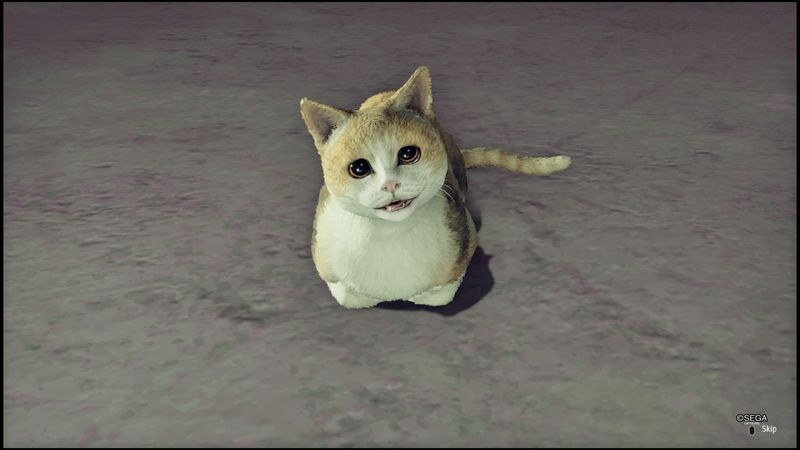 Yakuza 7 -kokeen vastaukset