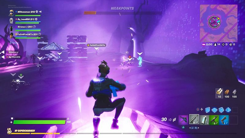 Fortnite Storm King