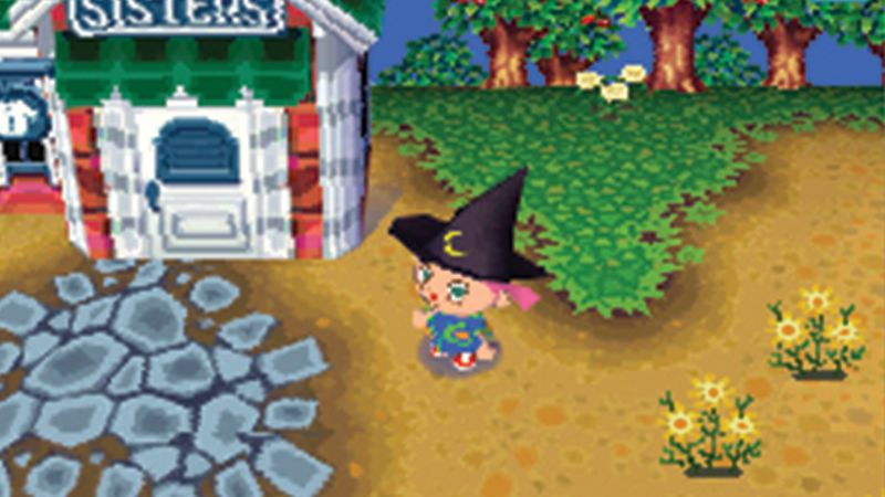 Animal Crossing: Wild World